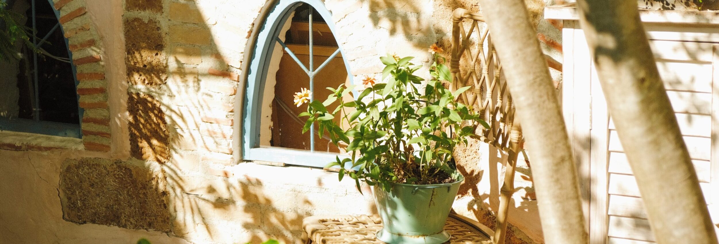 0fd89a8e 8f8d 4296 b4b7 1821c1f4c4d5 1