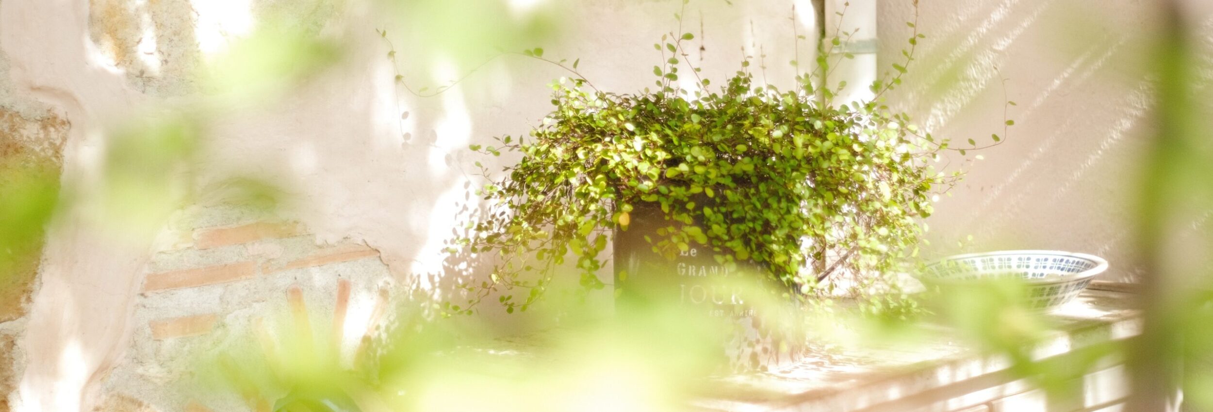 8fe511c5 a156 4744 b3c6 d550068d4caf 1