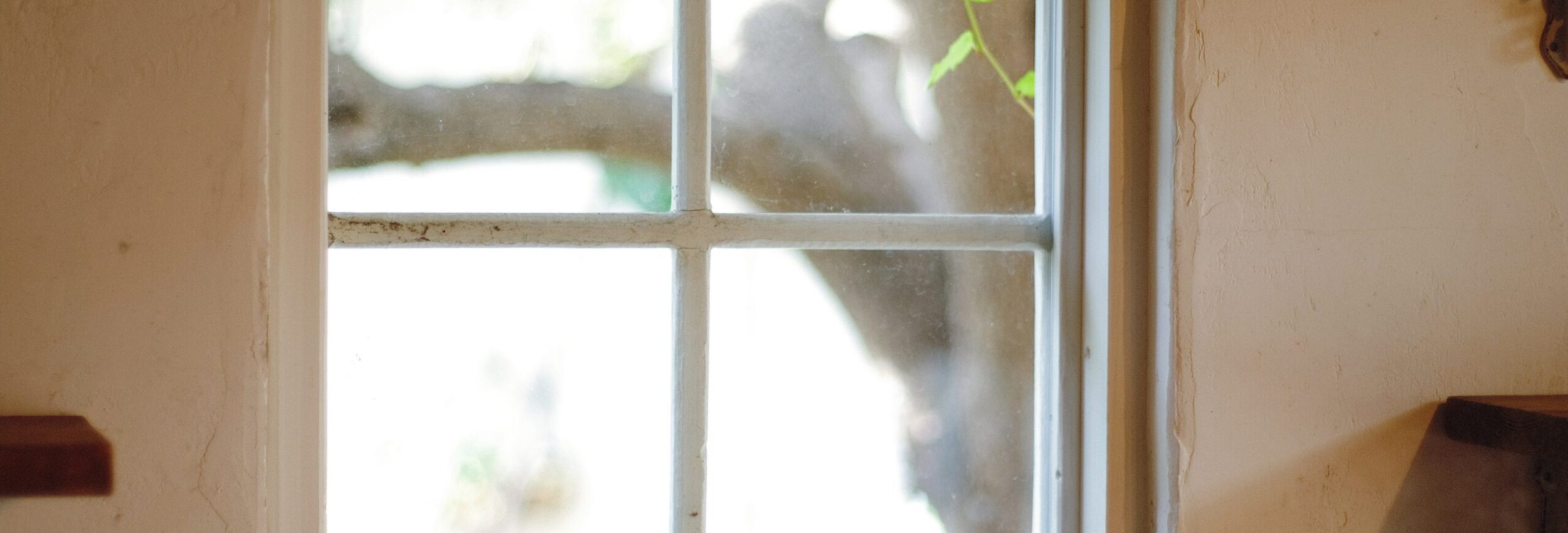 e6c664d8 ec7e 4182 ab28 9886c9c6f984 1